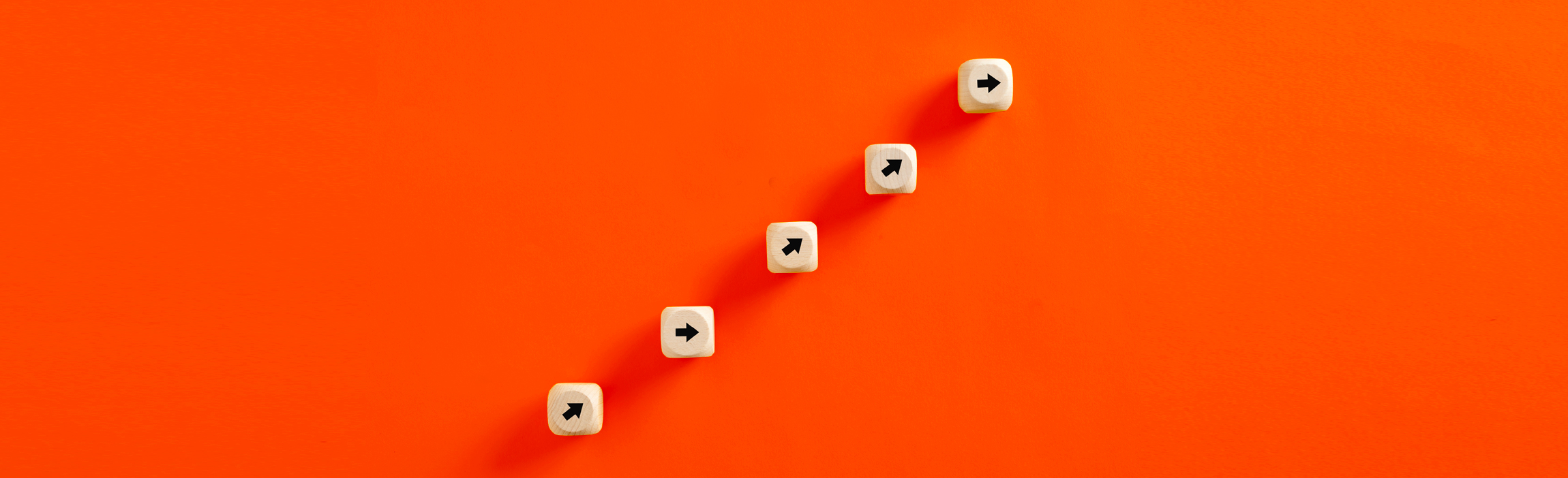 Célia Roche, services en coaching professionnel, Lausanne, en distanciel, coaching holistique, coaching motivation, coaching émotionnel, coaching introspection, coaching croissance personnelle, coaching épanouissement  